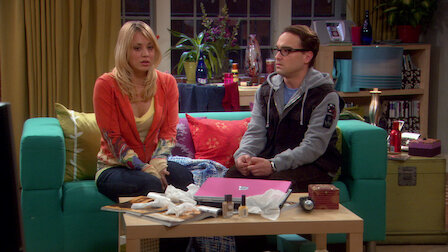 the big bang theory season 1 netflix
